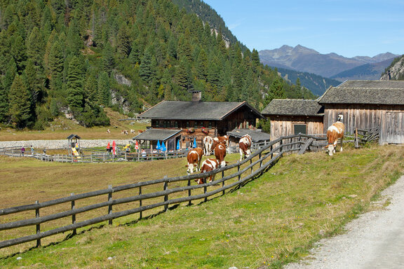 Hölzlahner Alm