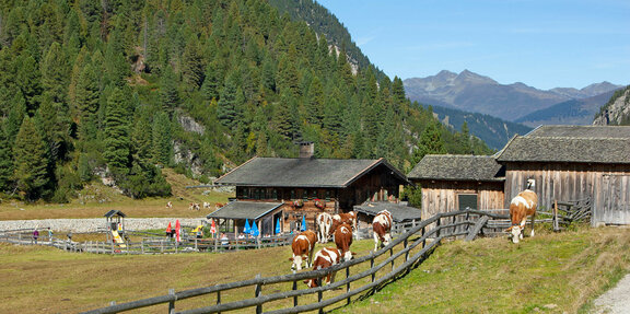 Hölzlahner Alm im Krimmler Achental