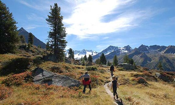Hike on the Leitenkamersteig in the Wildgerlostal