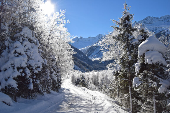Winter im Wildgerlostal