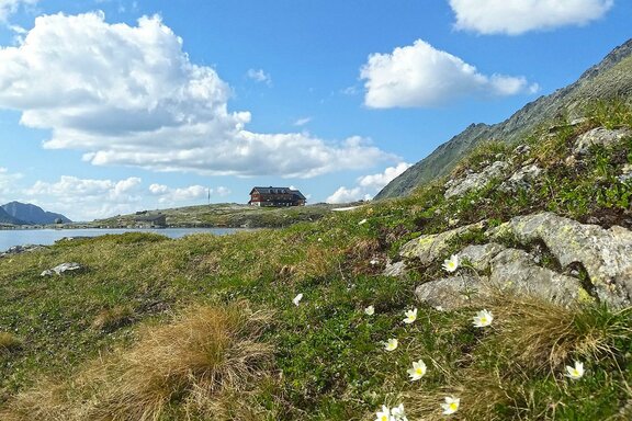 Zittauer Hütte and Wildgerlossee