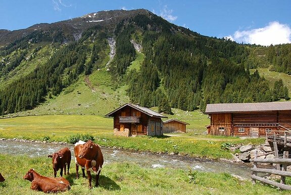 Alm im Krimmler Achental