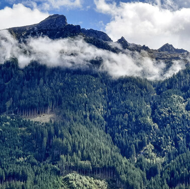 Aussicht auf den Breitlahner vom Ferienhaus