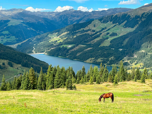 Blick von der Gletscherblickalm auf Durlassboden-Stausee