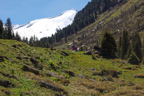 Wandern im Wildgerlostal