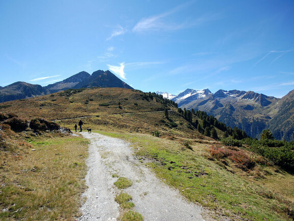 Hinterplatte - Breitscharte