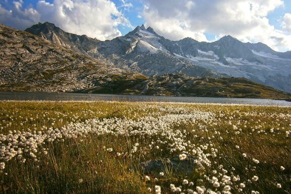 Oberer Wildgerlossee im Wildgerlostal