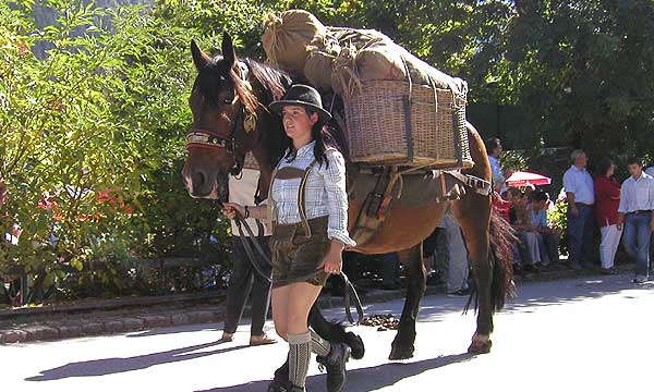 Säumerin mit Saumross